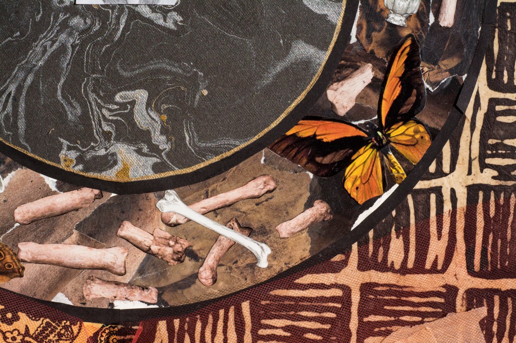 butterflies and bones, collage