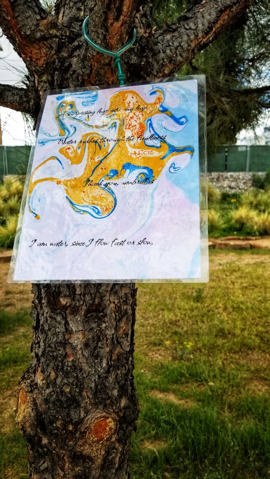 Text on a piece of laminated marbled paper, hung in a tree