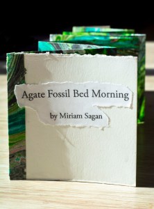 small green accordian book with poem